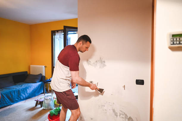 Best Office Mold Removal Services  in North Babylon, NY